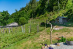 Upper Vineyard View~444 Lakeview Rd., Thetis Island, BC