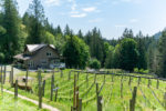 NW View Vineyard & Home~444 Lakeview Rd, Thetis Island