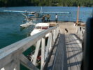 Wolf Isl Dock